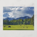 Search for grazing postcards Green