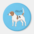 Search for beagle magnets Puppies