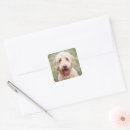 Search for goldendoodle puppy stickers Adorable