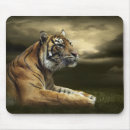Search for alertness mouse mats Cat