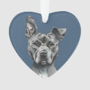 Search for pet supplies Cute
