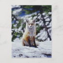 Search for vulpes Public land
