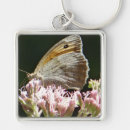 Search for butterfly pics key rings Nature photography