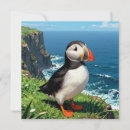 Search for puffin cards Ocean
