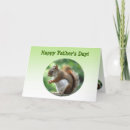 Search for red squirrel cards Wildlife
