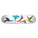 Search for macaw skateboards Colourful