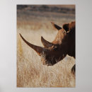 Search for rhinos posters Endangered species