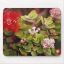 Search for volcano mouse mats Hawaii volcanoes national park