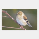 Search for goldfinch stickers Cute