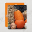 Search for cat halloween invitations Autumn