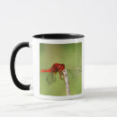 Search for reserve mugs Horizontal