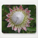 Search for big flower mouse mats White