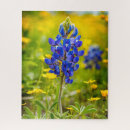Search for texas puzzles Lupine