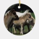 Search for miniature horse christmas tree decorations Bob langrish