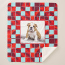 Search for bulldog blankets Modern