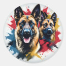 Search for malinois stickers Pet
