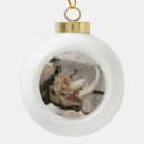 Search for rhino christmas tree decorations Nature