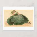 Search for lettuce postcards Vintage