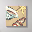 Search for seashells sea shells canvas prints Starfish