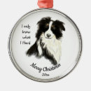 Search for border collie quote Animal
