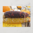 Search for corn postcards Indian