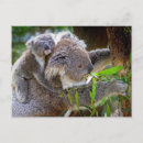 Search for outback postcards Nature