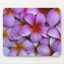 Search for plumeria mouse mats Pink