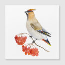 Search for mum to be mothers day cards Bird