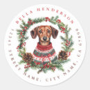 Search for christmas dachshund stickers Winter