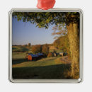 Search for south america christmas tree decorations Usa