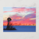 Search for pink sunrise postcards Snow