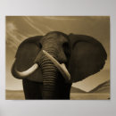 Search for elephant conservation posters Endangered species