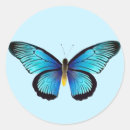 Search for anniversary envelope seals Anniversaries