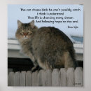 Search for maine coon cat art Cats