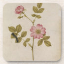 Search for caterpillar coasters Flowers