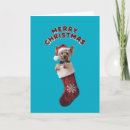 Search for yorkie cards Santa