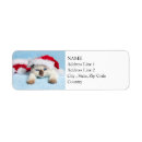 Search for siamese return address labels Kitties