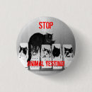 Search for animal testing Cats