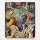 Search for life science electronics Ocean