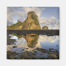 Search for olympic national park magnets Ocean