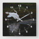 Search for white feather clocks Water