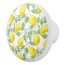 Search for lemon knobs and pulls Drawer