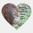 Search for save forest stickers Conservation