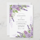 Search for fragrant Lavender