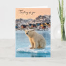 Search for polar bear cards Arctic