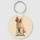 Search for toy poodle key rings Miniature