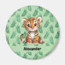 Search for tigers in magnets Cub