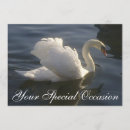 Search for water bird invitations White