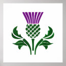 Search for thistle art Scottish