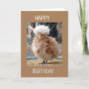 Search for funny chicken sayings postcards Friend